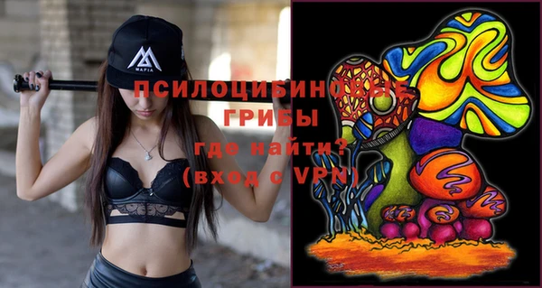 марки lsd Краснослободск
