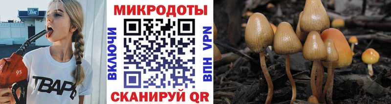 Псилоцибиновые грибы Magic Shrooms  Купить закладки  Камешково 