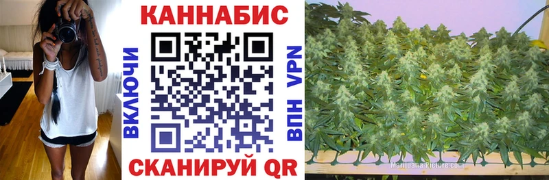 Бошки Шишки семена  Купить где  Камешково 